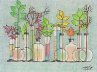 Flora - Vials Of Flowers - Pencil And Paper
