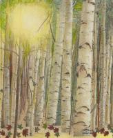 Nature - Birches - Mixed Media