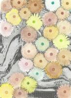 Flora - Flowers On Gray - Mixed Media