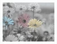 Flora - A Fair Flowery Day - Mixed Media