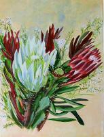 Banksias - Oils Paintings - By Aileen Mcleod, Realismn Painting Artist